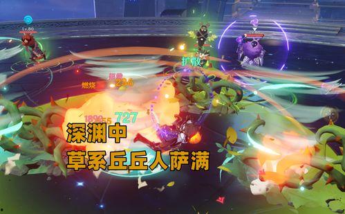 须弥草神最新爆料视频下载